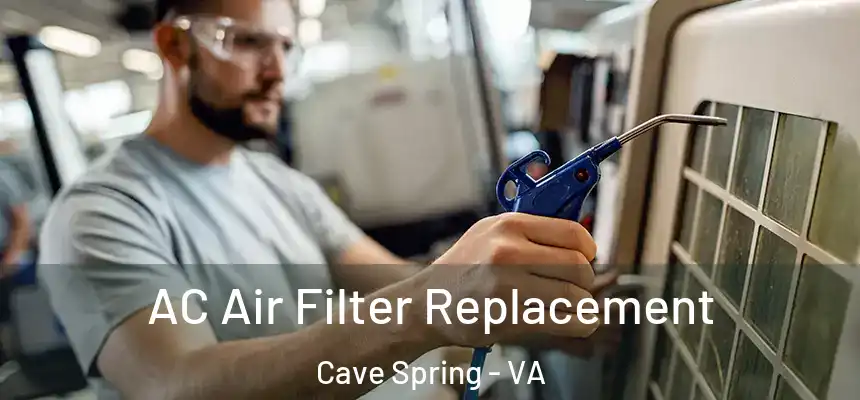 AC Air Filter Replacement Cave Spring - VA