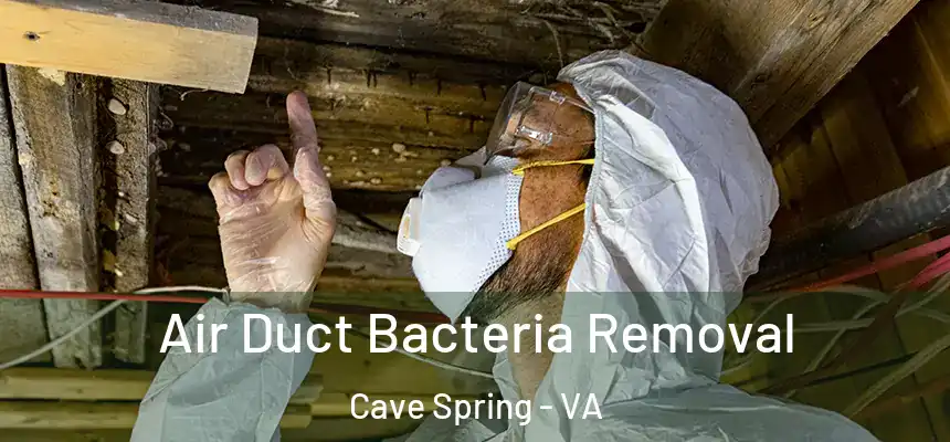  Air Duct Bacteria Removal Cave Spring - VA