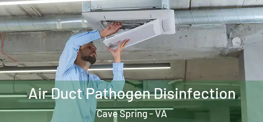 Air Duct Pathogen Disinfection Cave Spring - VA