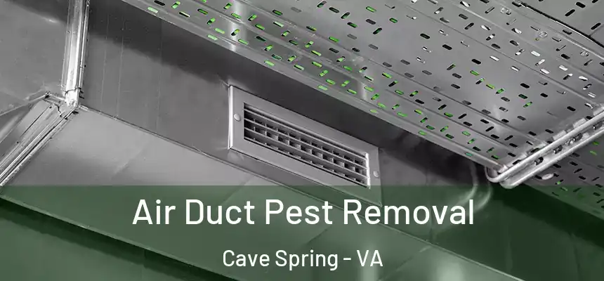  Air Duct Pest Removal Cave Spring - VA