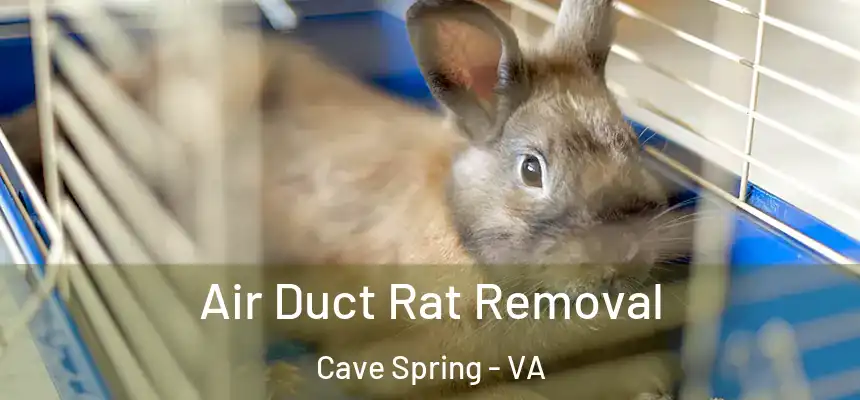  Air Duct Rat Removal Cave Spring - VA