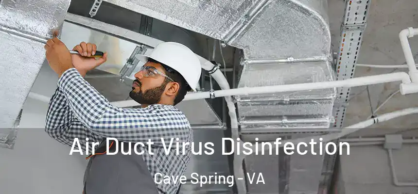 Air Duct Virus Disinfection Cave Spring - VA