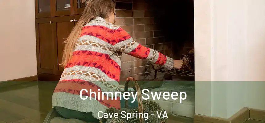 Chimney Sweep Cave Spring - VA