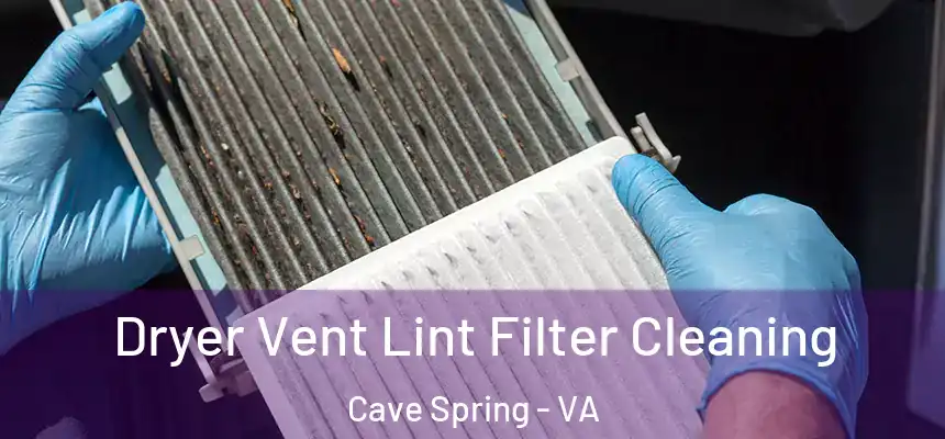 Dryer Vent Lint Filter Cleaning Cave Spring - VA