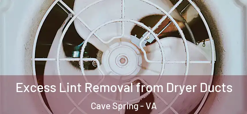  Excess Lint Removal from Dryer Ducts Cave Spring - VA