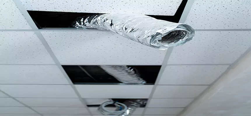 Affordable HVAC Sanitizing After Pest Removal in Cave Spring