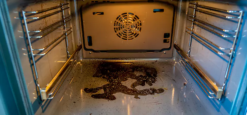 Our Dryer Vent Mold Cleaning Services in Cave Spring, VA