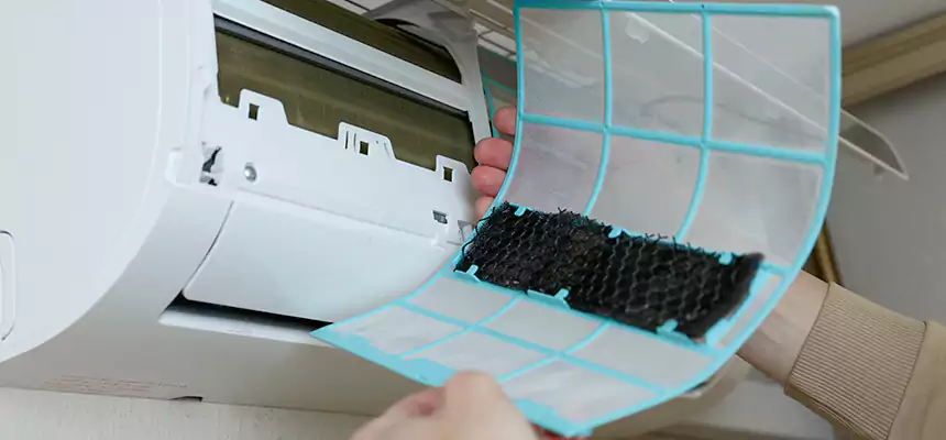 Gentle Ductwork Odor-Control Pet Dander Duct Cleaning in Cave Spring, VA