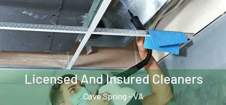  Licensed And Insured Cleaners Cave Spring - VA