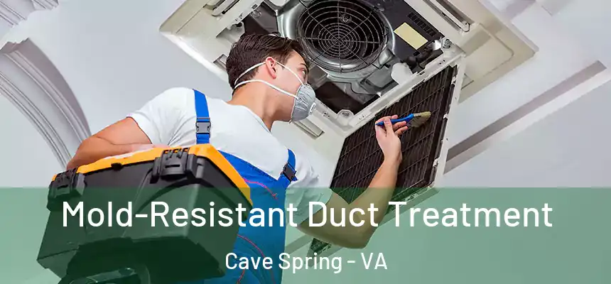 Mold-Resistant Duct Treatment Cave Spring - VA