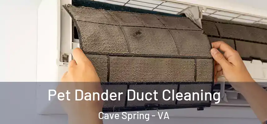  Pet Dander Duct Cleaning Cave Spring - VA
