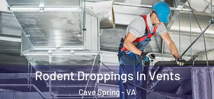  Rodent Droppings In Vents Cave Spring - VA