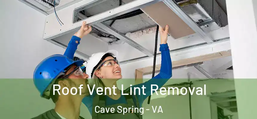  Roof Vent Lint Removal Cave Spring - VA