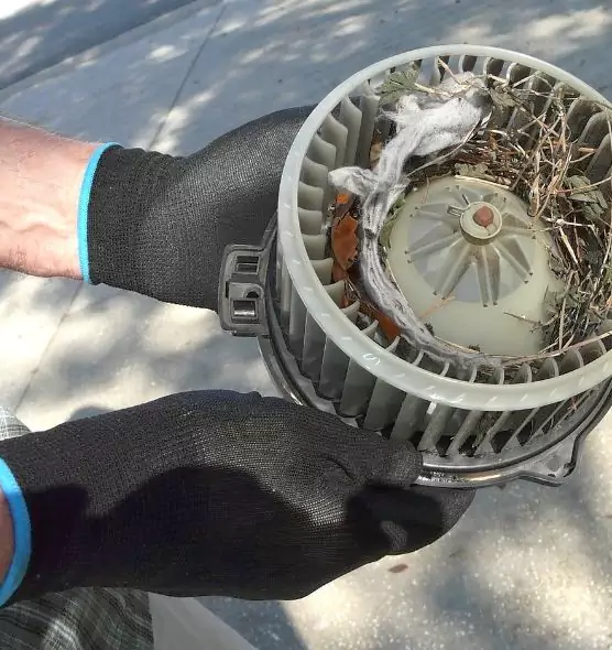 About Air Duct Rat Removal in Cave Spring, VA