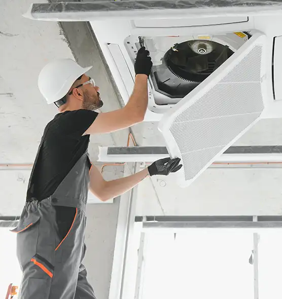 About Air Duct Rodent Removal in Cave Spring, VA