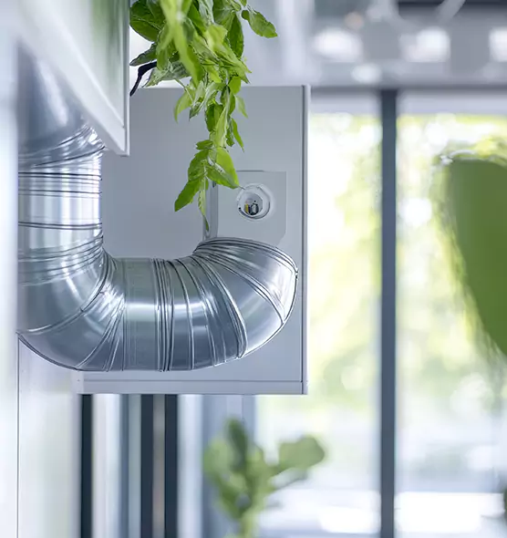 Professional Eco-Safe Dryer Vent Cleaning in Cave Spring, VA