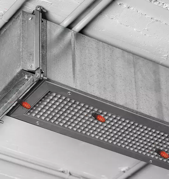 Affordable Insect Removal from Air Ducts in Cave Spring, VA