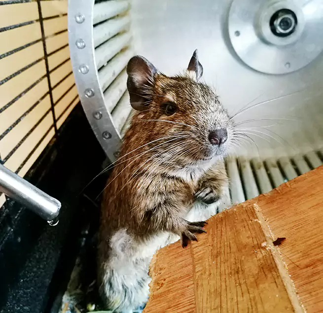 Why Homeowners & Businesses Trust Us Cave Spring, VA