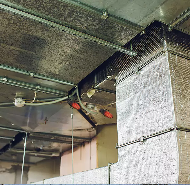 Why Homeowners & Businesses Trust Us Cave Spring, VA?